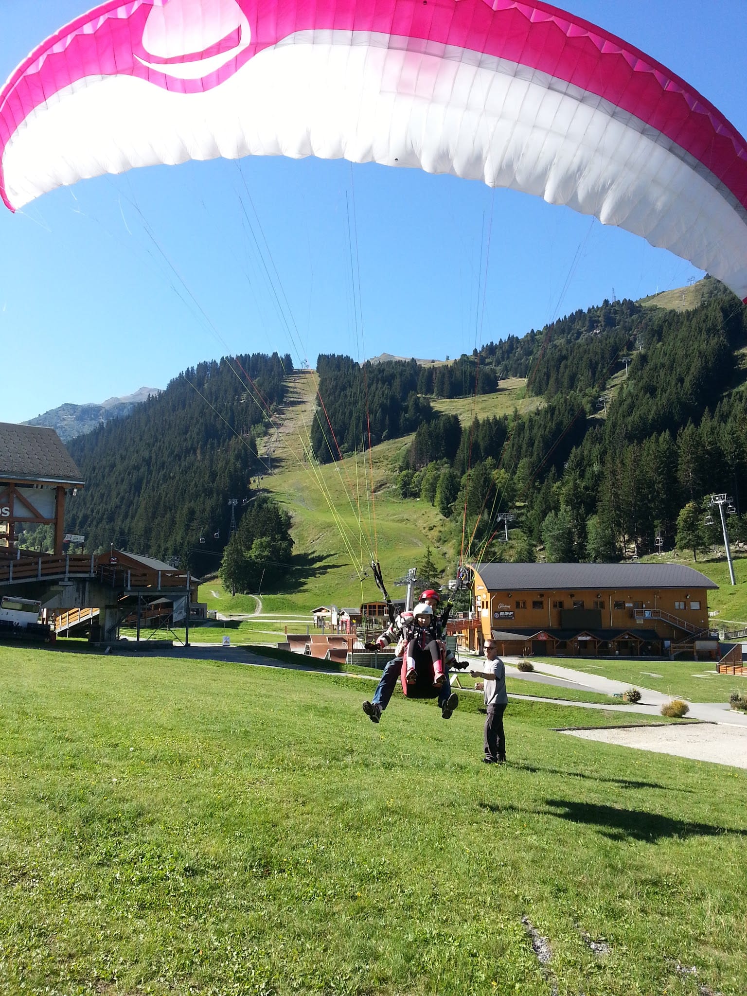 Aile rose et blanche