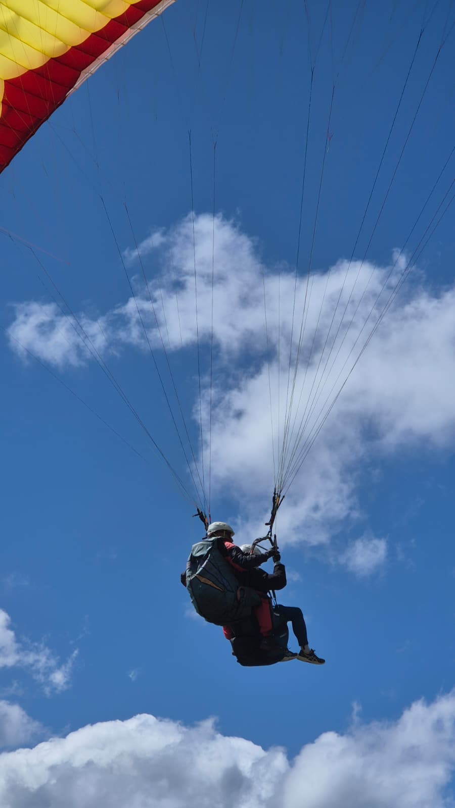 Parapente avec vue sur les sommets alpins